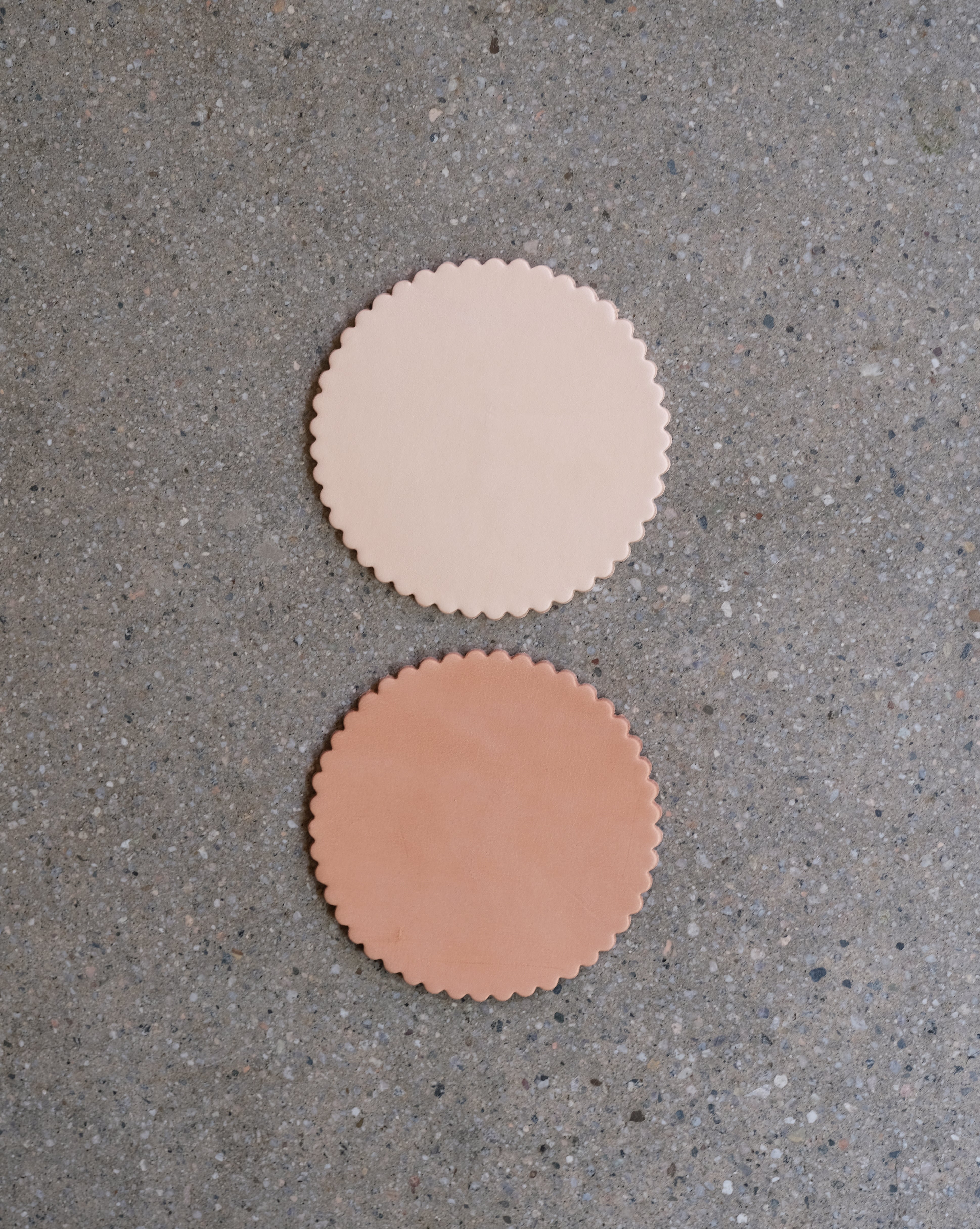 BISCUIT COASTERS