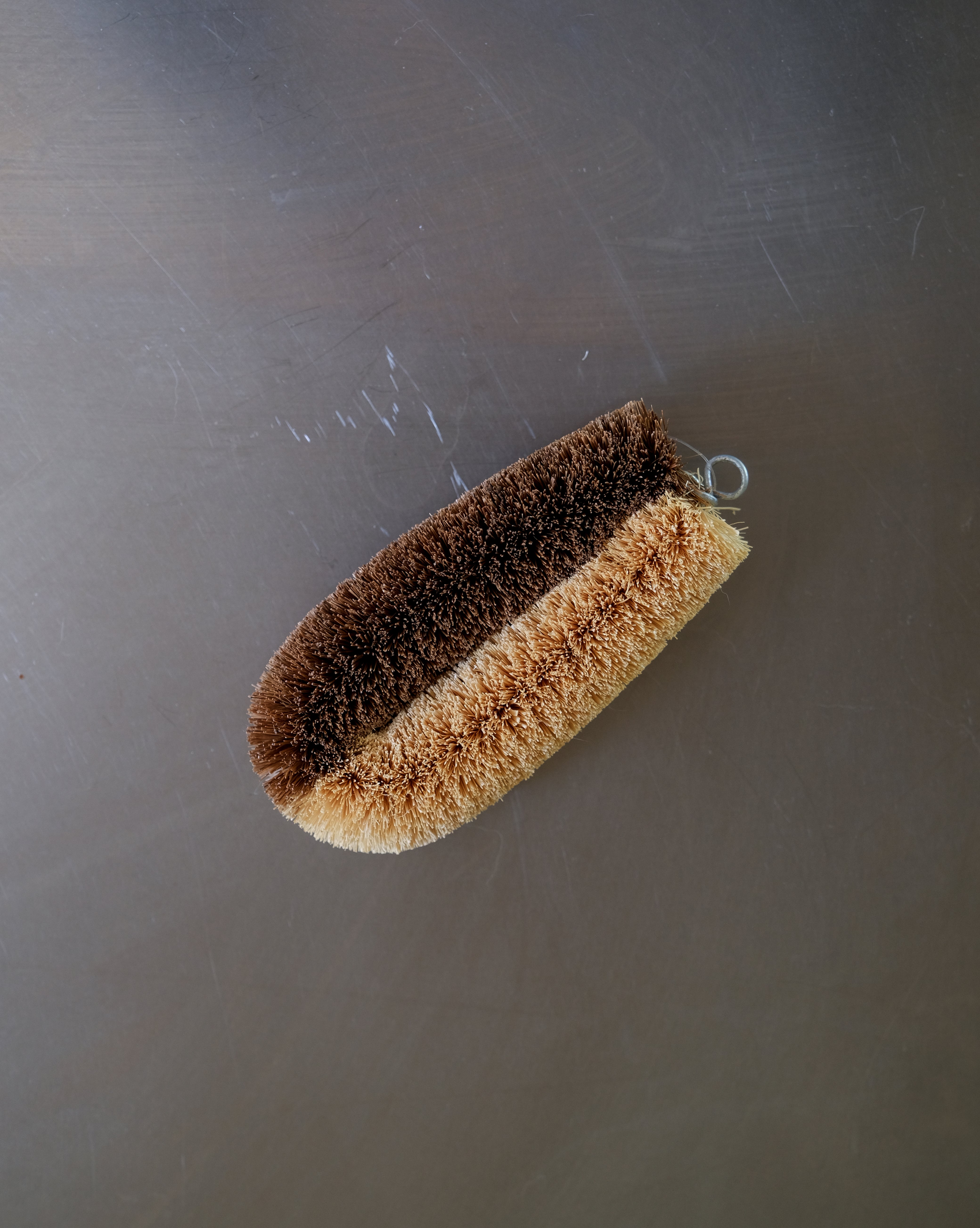 SCRUBBING BRUSH