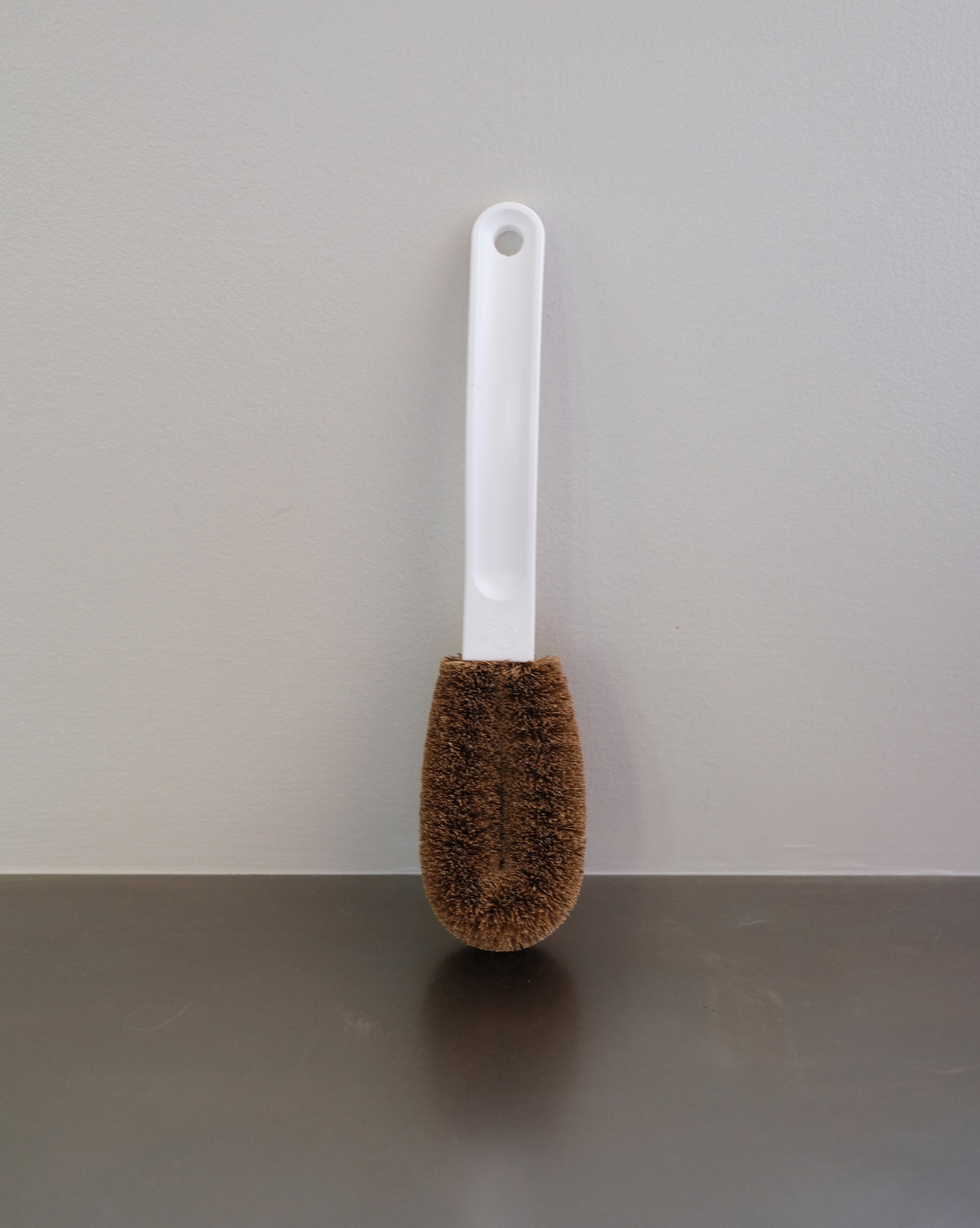 CLEANING BRUSH W/ HANDLE