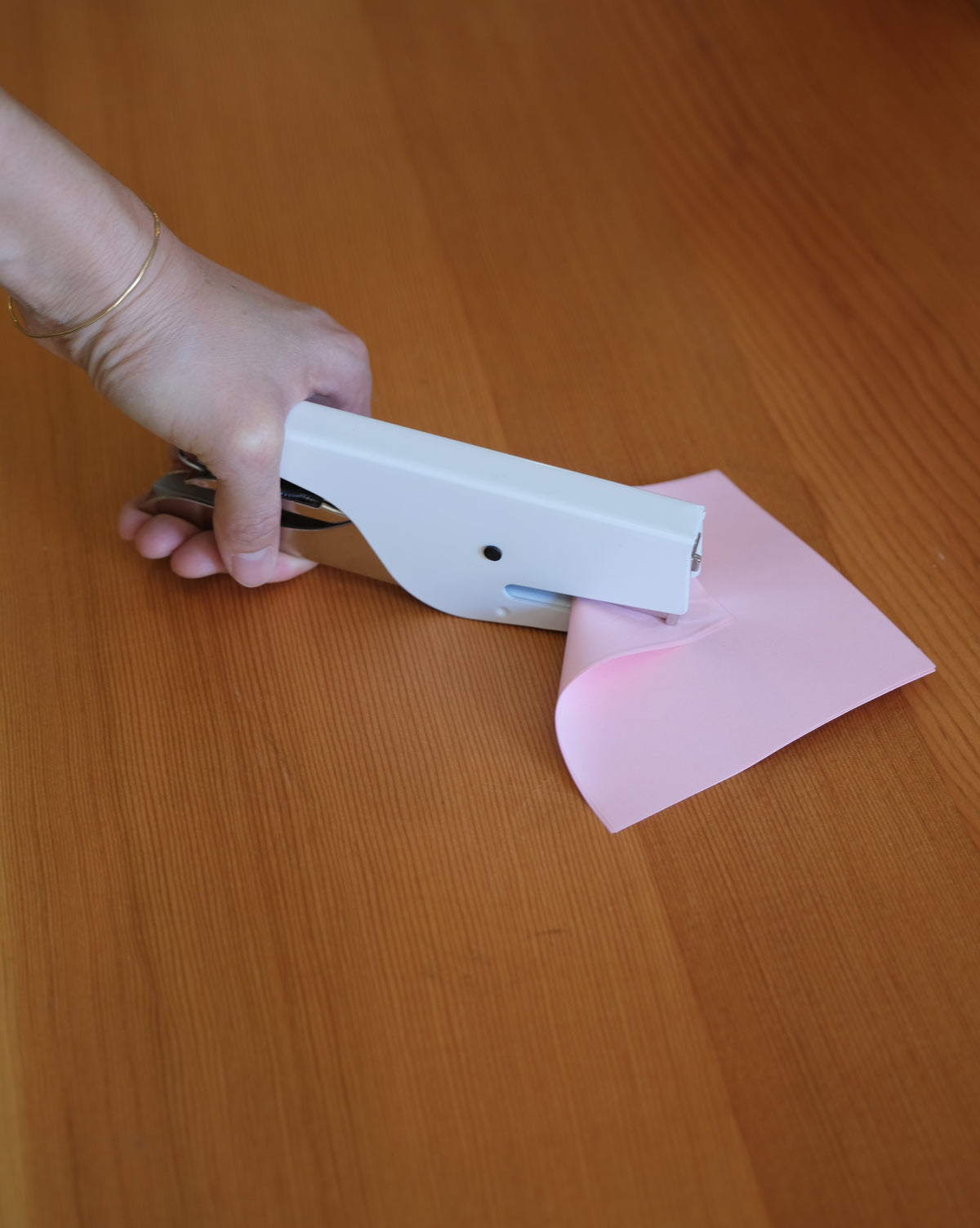 KLIZIA STAPLER