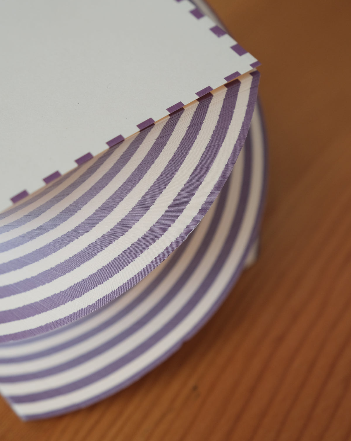 SPIRAL PAD - Purple Dash